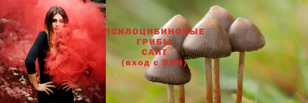ALPHA-PVP Аркадак