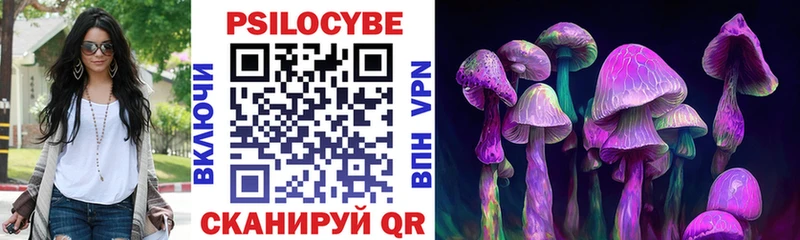 сколько стоит  Знаменск  Галлюциногенные грибы Psilocybe 