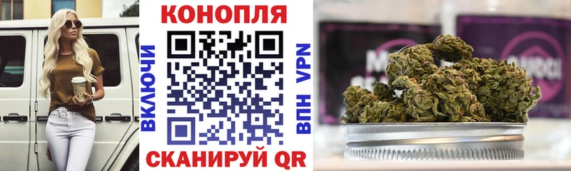 где купить наркоту  Знаменск  Бошки Шишки Bruce Banner 
